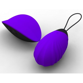 Oeuf télécommandé rechargeable fairy pourpre - 7 vitesses